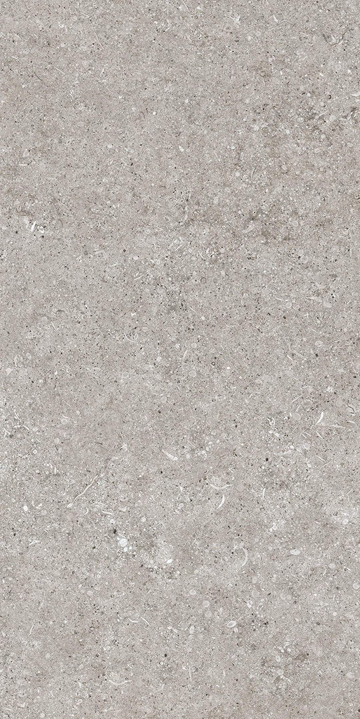 768343 На пол Sensi by Thun Grey Fossil R+PTV Ret 40x80 - фото 2