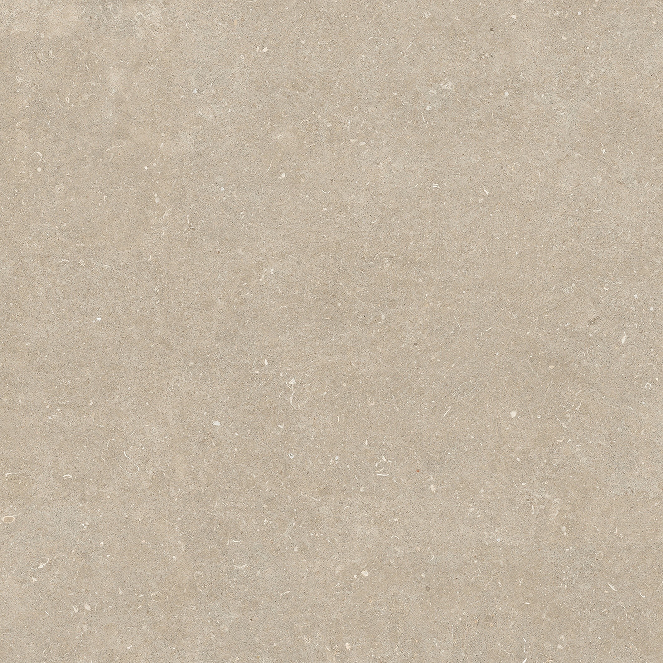 785579 На пол Rinascenza Arena Conchiglia Matte 6mm 120x120 - фото 3
