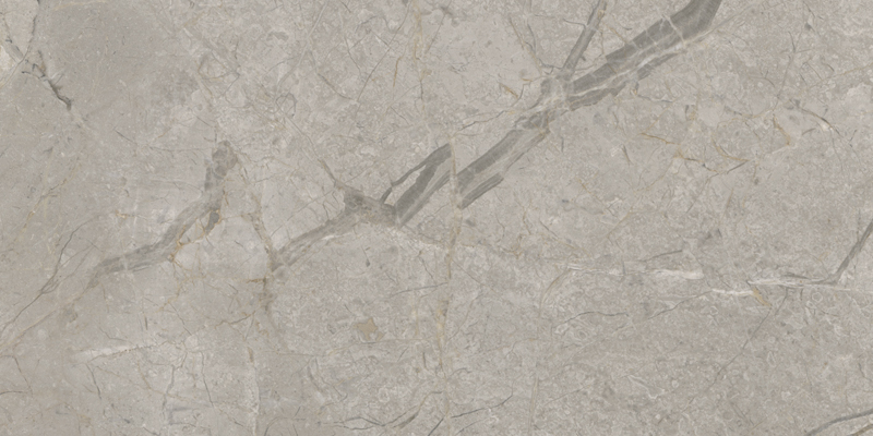 2ASK На пол Elements Lux Silver Grey Silk RT 60x120 - фото 4