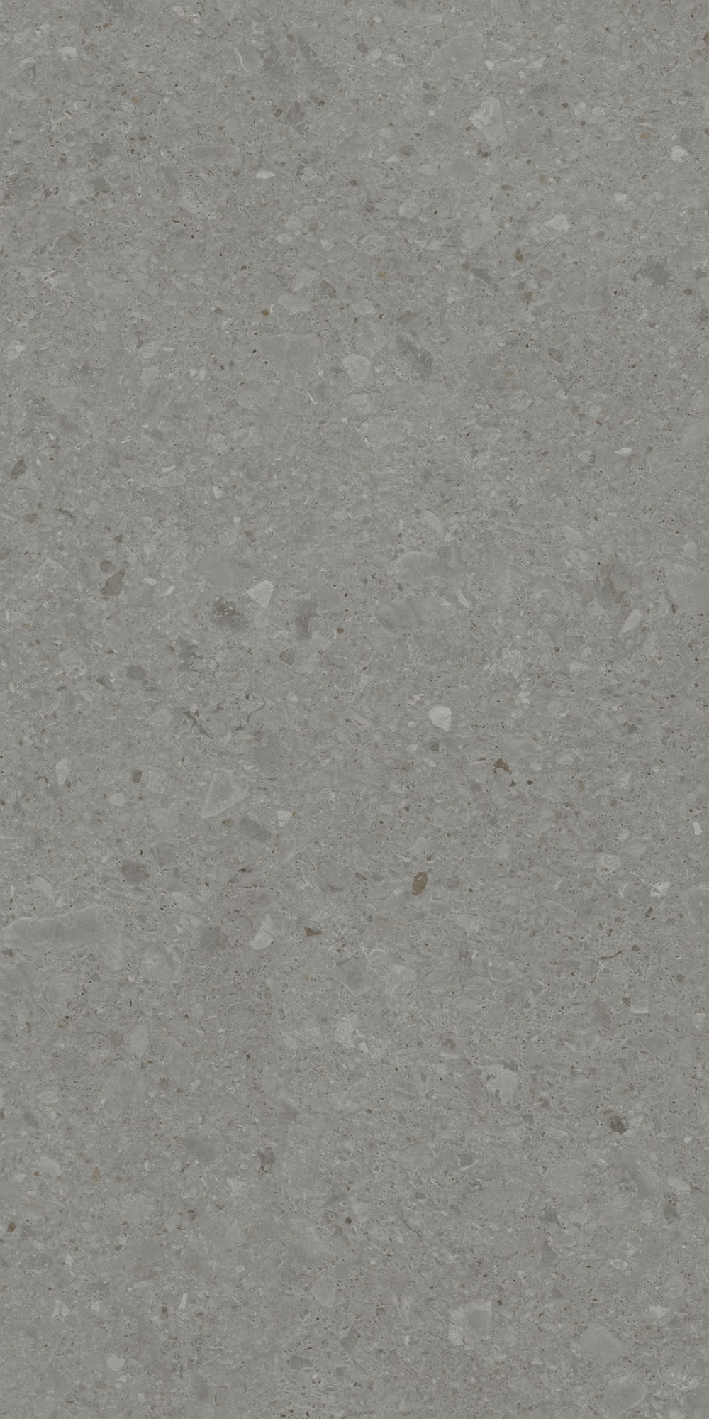 DD507920R Напольный Чеппо ди Гре Серый тёмный матовый обрезной 60x119.5x0.9 - фото 4