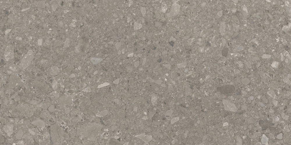 RP-238600  Ceppo Di Gris GHR 60x120 - фото 2