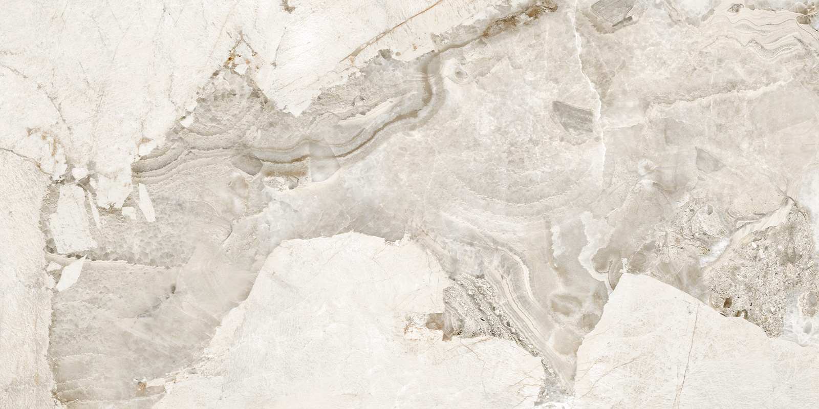 D120256LG На пол Seashell Лаппатированный граниль 600x1200x9.5 - фото 6