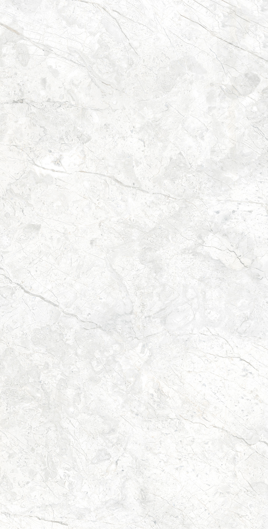 RT7015-A На пол Marcus Bianco Matt Rustic 60x120 - фото 2