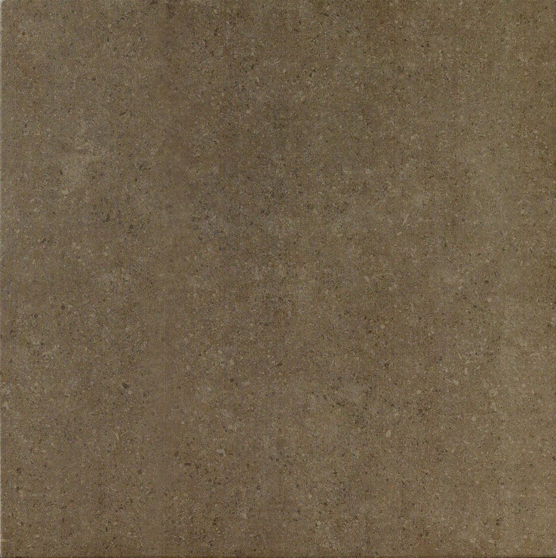 610010000711 На пол Auris Мока 60 Натуральный и реттифицированный