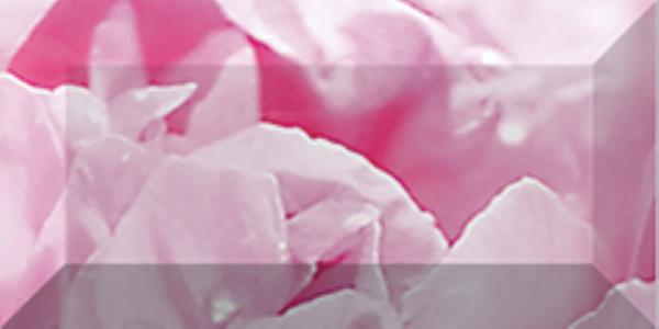 br1020D281-2 Бордюр Peony Цветы рельефный 2
