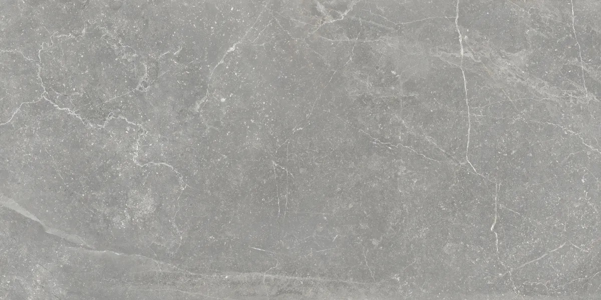 P0003700 На пол Bleuemix Grey Soft 60x120 - фото 6