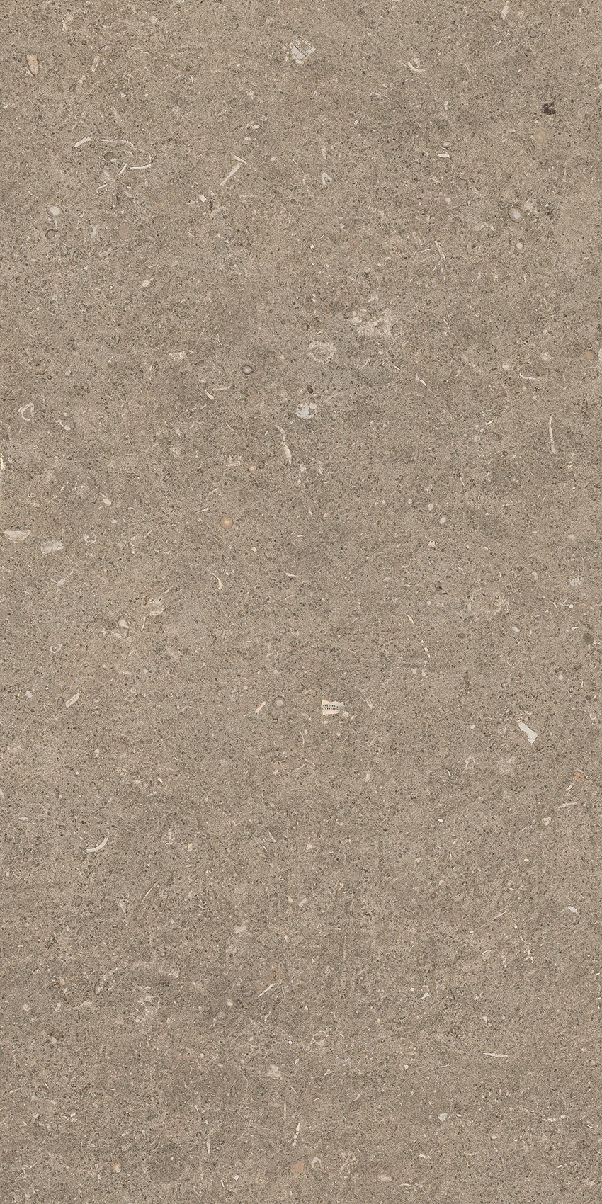 785490 На пол Rinascenza Arena Pietra Matte 30x60 - фото 8