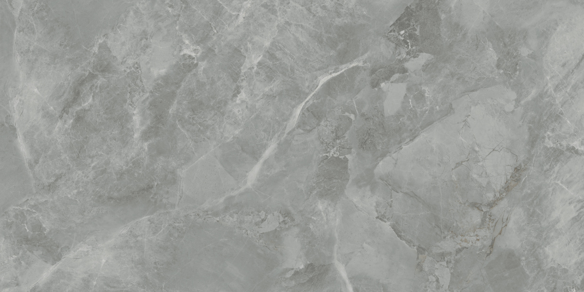 CR6012G0411R На пол Regnum Grigio серый матовый 59.5х119.1 - фото 4