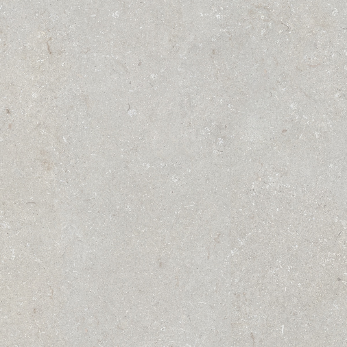 005847 На пол Shellstone Bianco 120x120 - фото 3