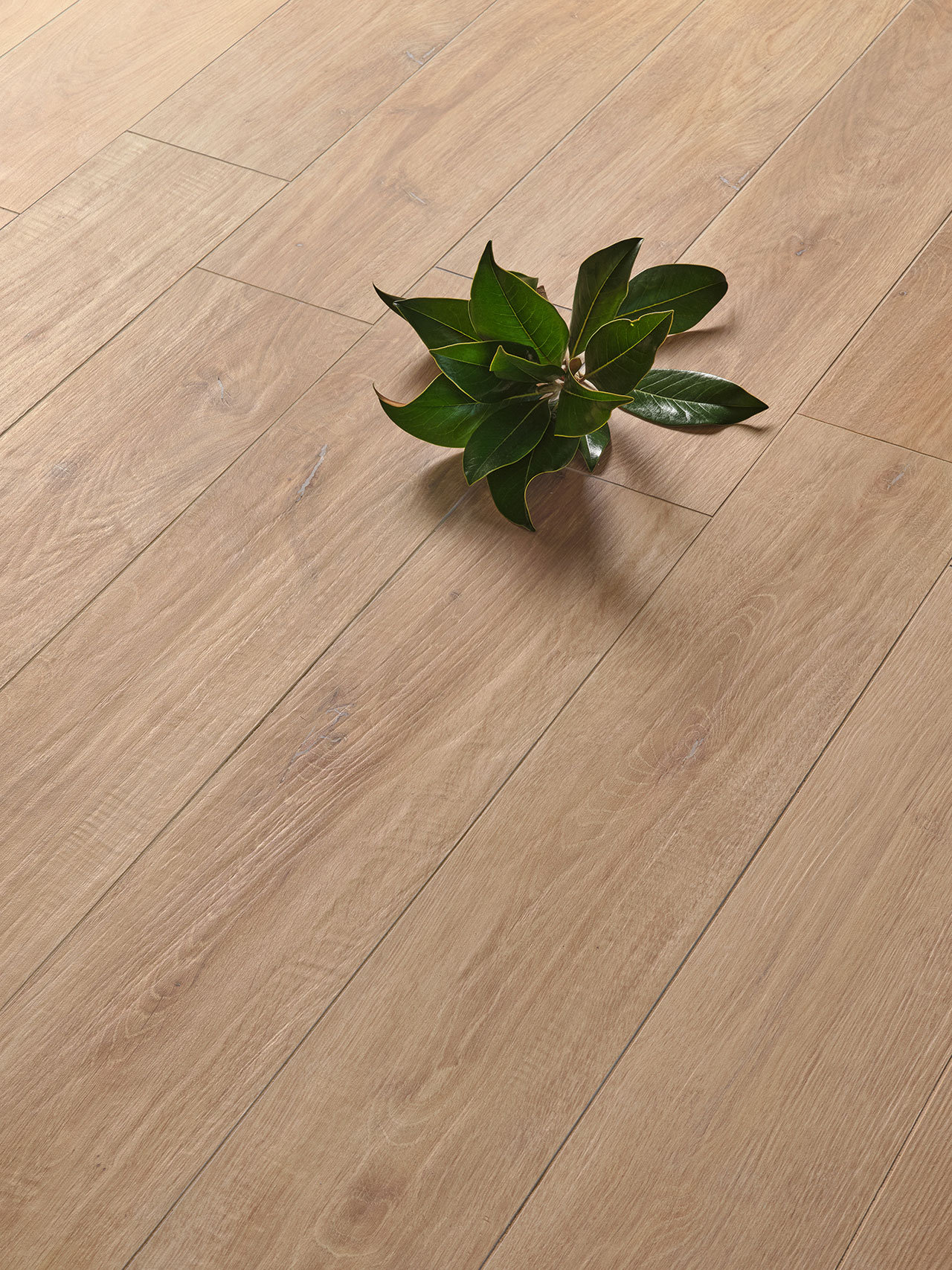 Isla Tiles Legni D Italia - фото 19