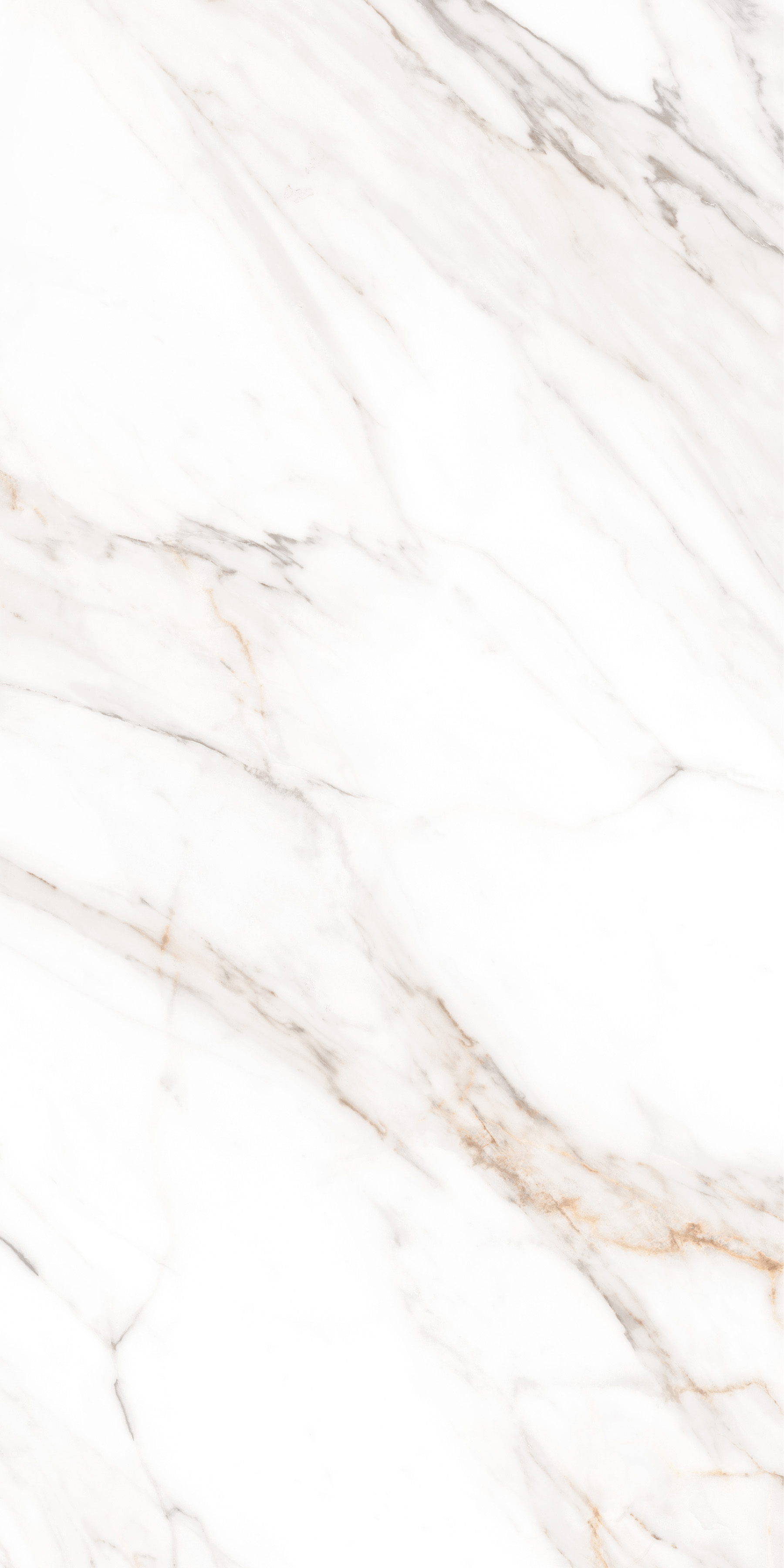 MPL-058630 На пол Simero Calacatta Gold Satin 60x120 - фото 8