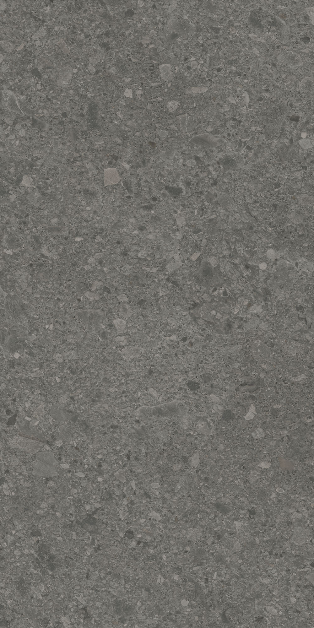 DD591600R На пол Чеппо ди Гре Антрацит матовый обрезной 119.5x238.5x1.1 - фото 2