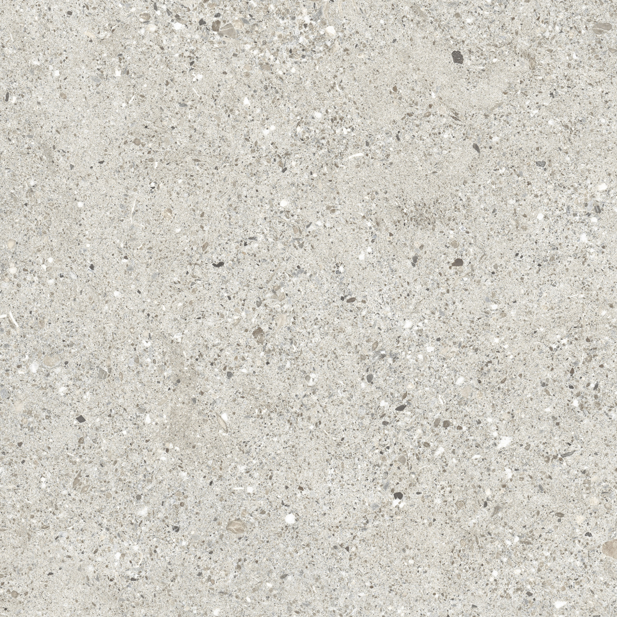 CR6060G0461R На пол Granito Grigio серый матовый 59.5х59.5 - фото 5