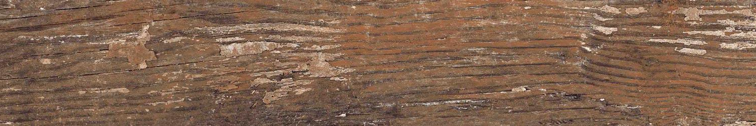 На пол Wood Kiwi Redroot Mat 20x120 - фото 12