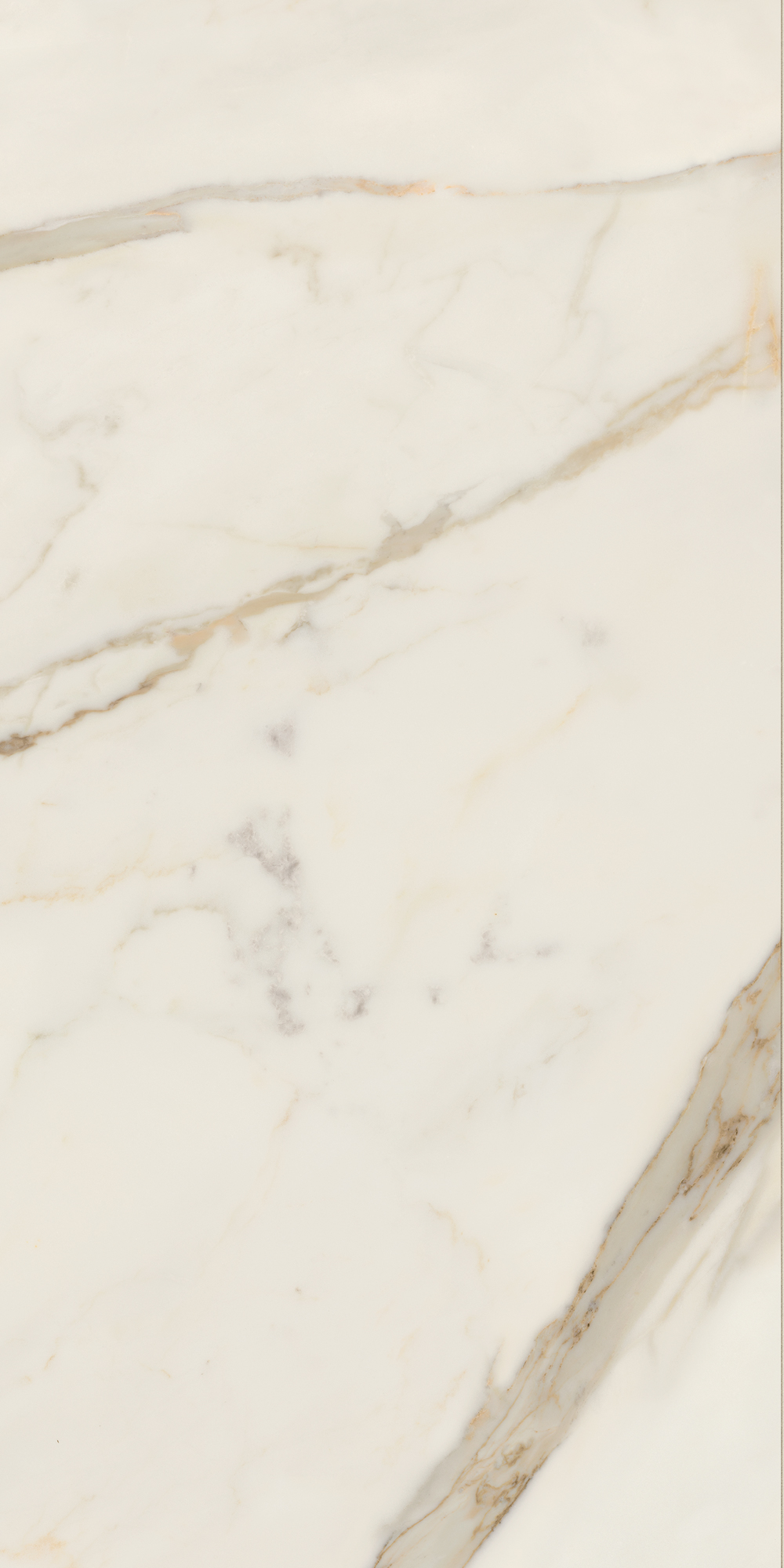 AGB0 На пол Anima Futura Golden White Rt. 120x60 - фото 4