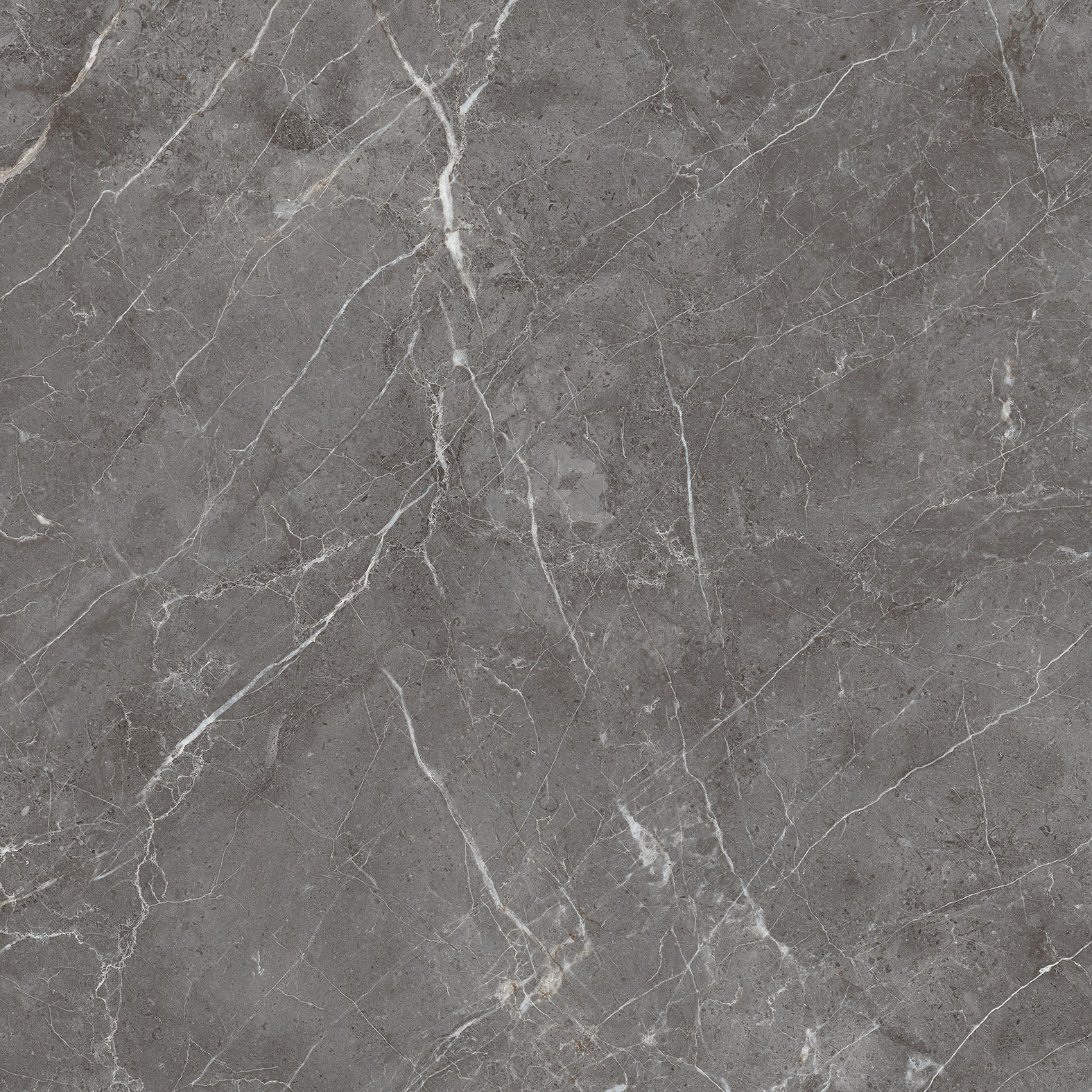 CR6001-A На пол Esperia Grigio Carving 60x60 - фото 5