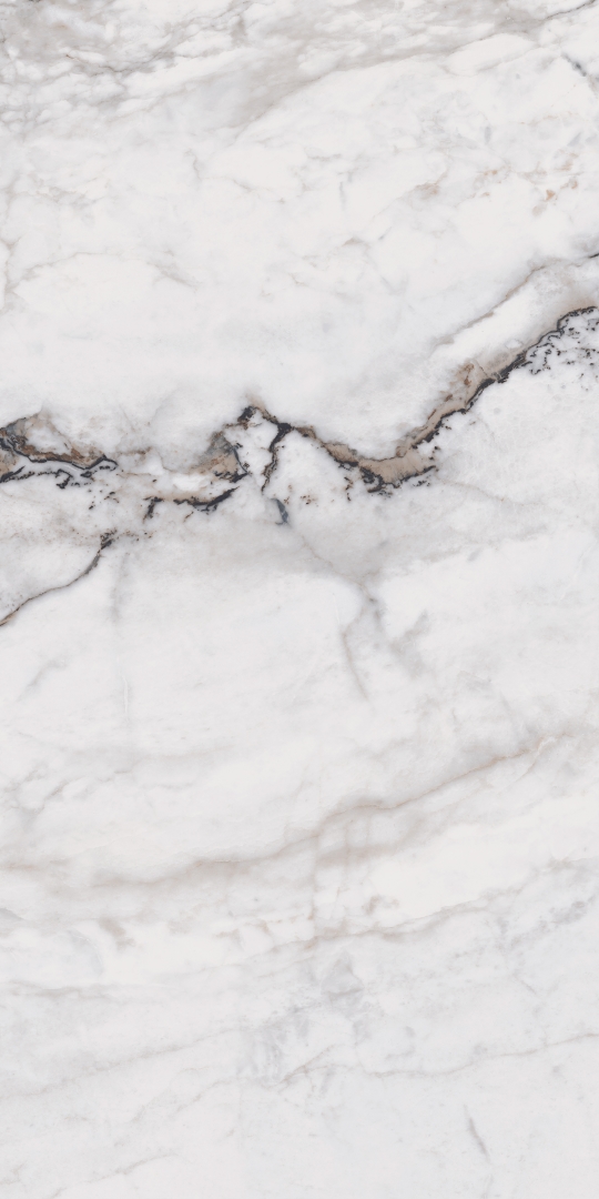 MOG103/PS_NC/60x120x9R/GW На пол Marble MOG103 White полированный 60x120 - фото 8