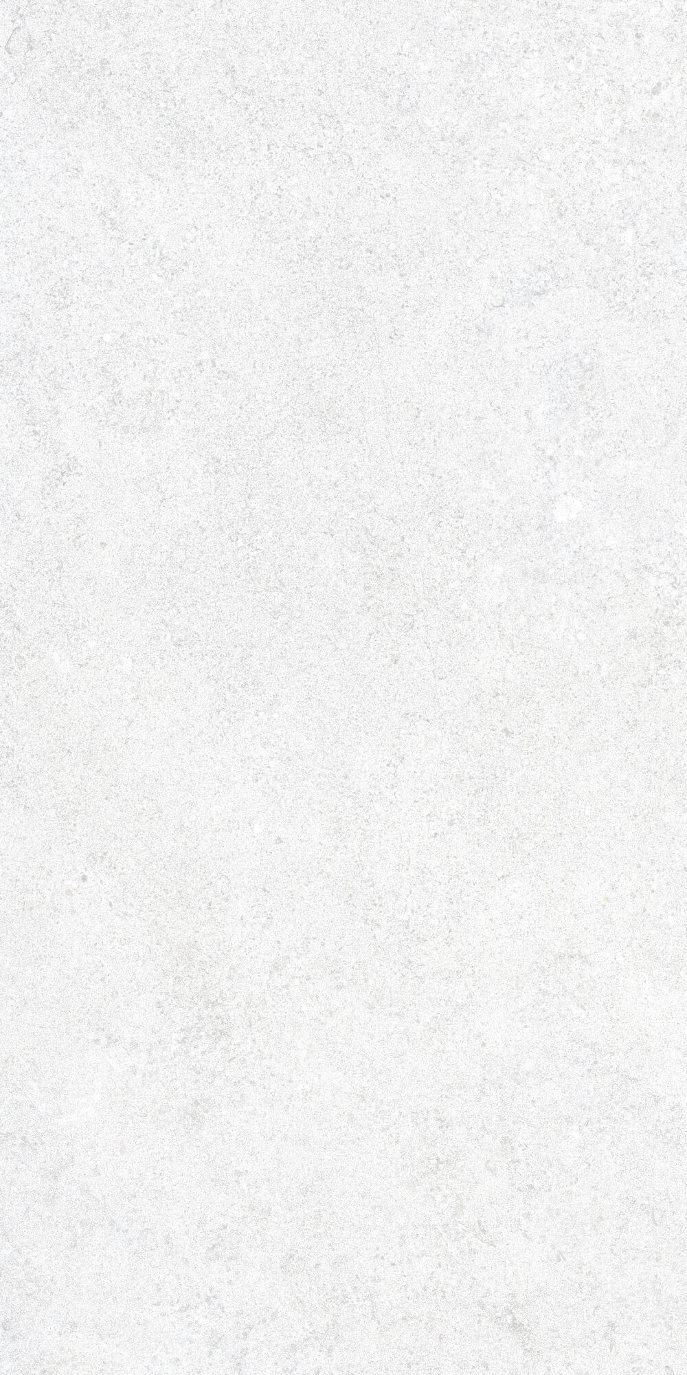 36905 На пол Cluny White 4D/50X100X2/A/R 50x100