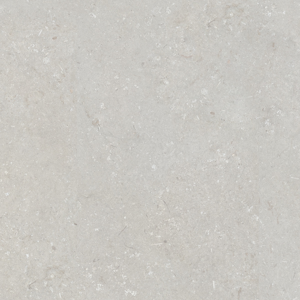 005847 На пол Shellstone Bianco 120x120 - фото 2