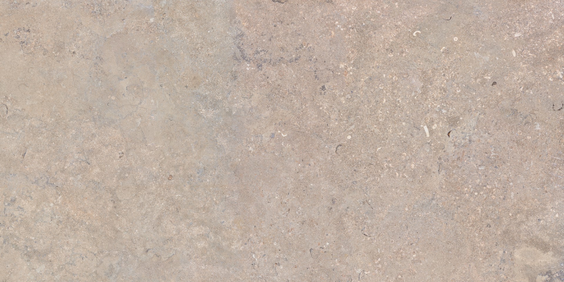 На пол Salerno Bronzo Rect 60x120 - фото 6