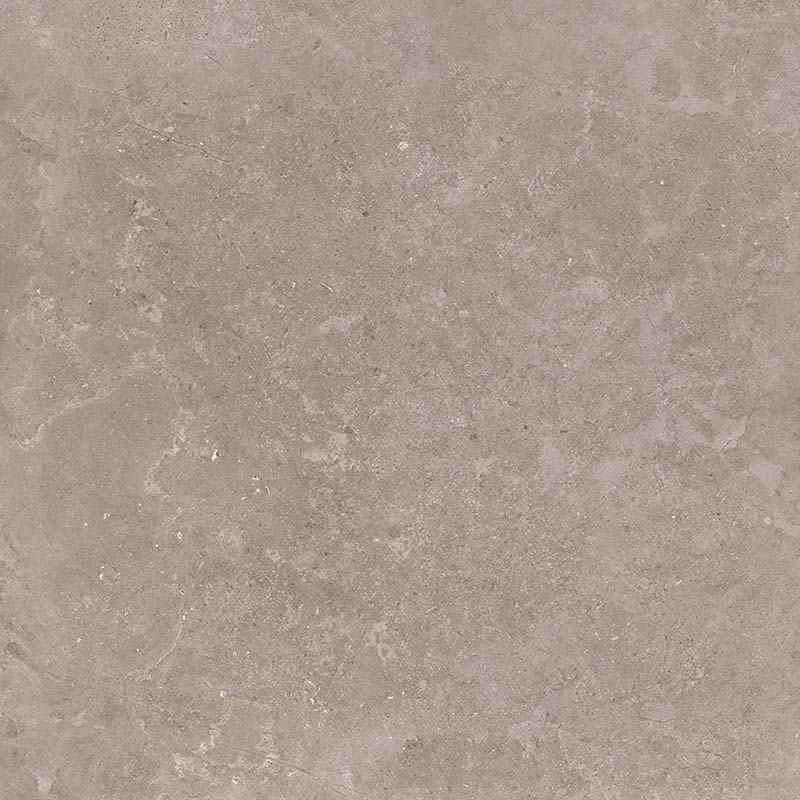 8163 На пол Shell DG 60х60 - фото 8