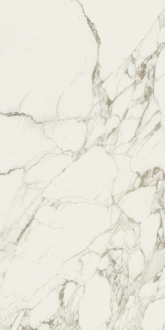 610015000495 На пол Charme Deluxe Arabescato White Cer. 60x120 - фото 3