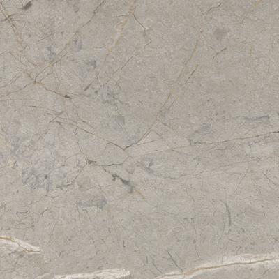 2A52 На пол Elements Lux Silver Grey Lappato RT 120x120 - фото 4