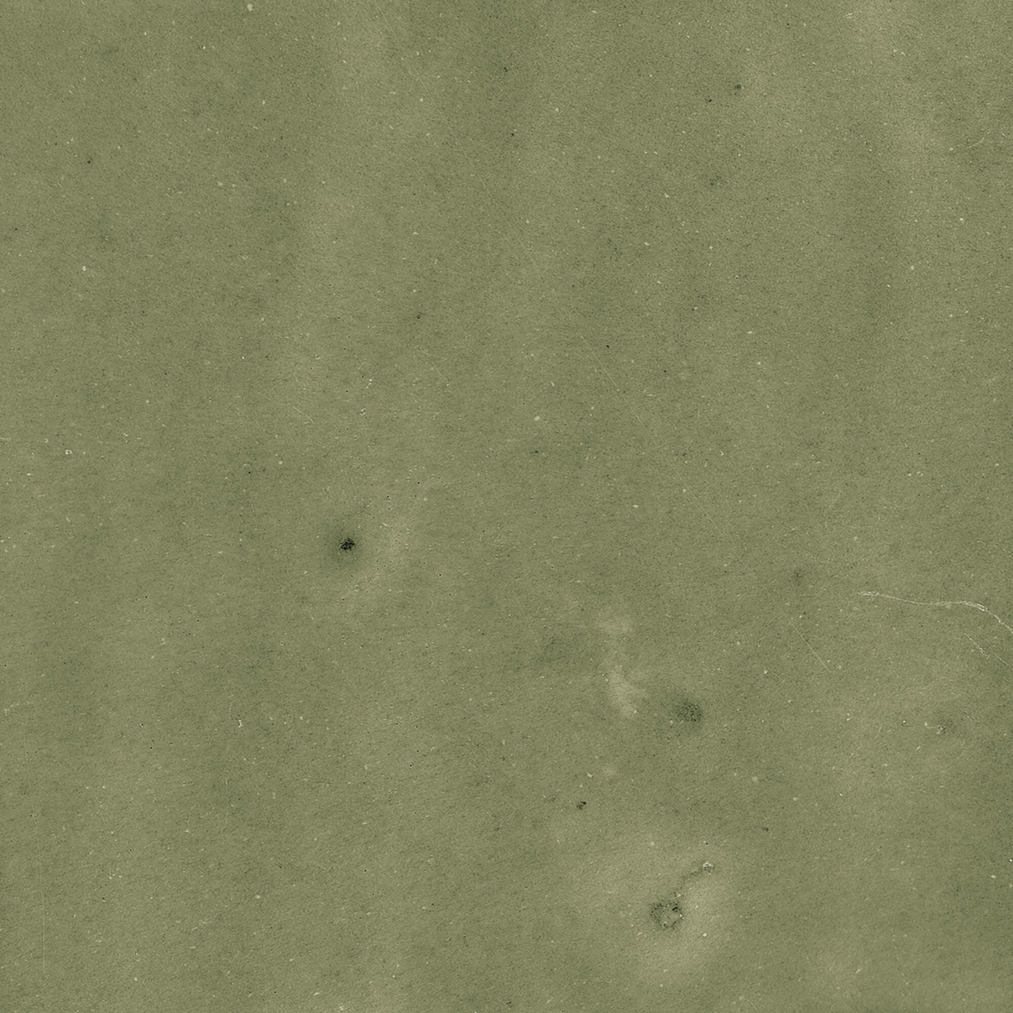 43292 На стену Samira Sage 10x10 - фото 45