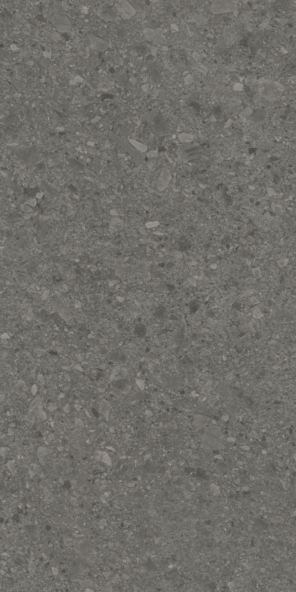 DD591620R На пол Чеппо ди Гре Антрацит матовый обрезной 119.5x238.5x0.9 - фото 2