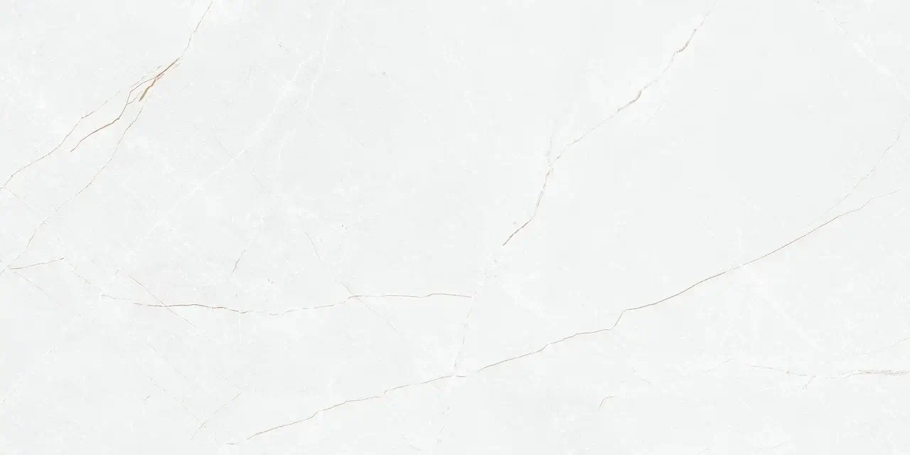 P8AA0LNAA0H1SO На пол Anil White Polished Rect 60х120 - фото 6