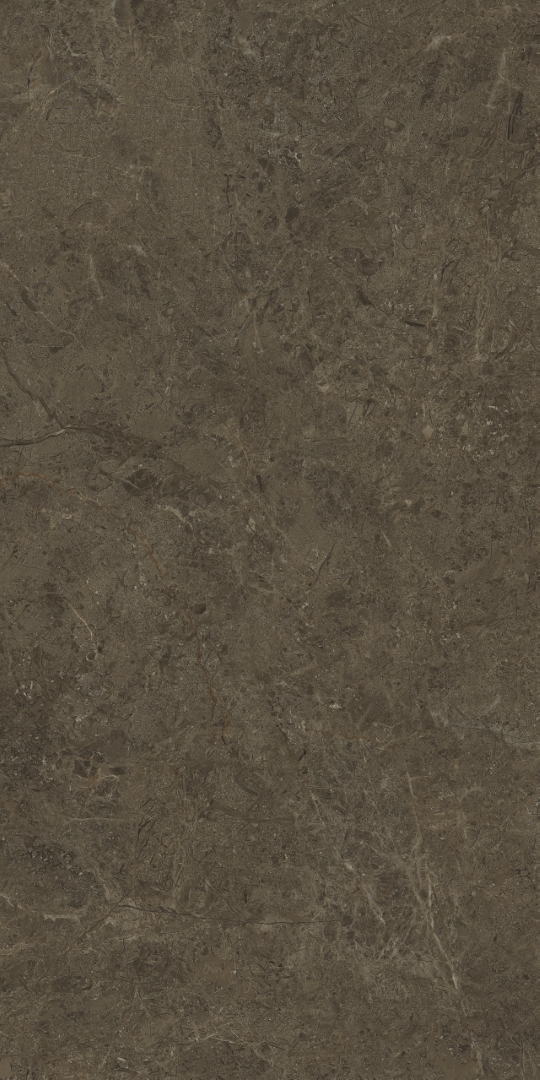 PT12F7039 На пол Neapol Brown Matt 1200х600х9 - фото 2