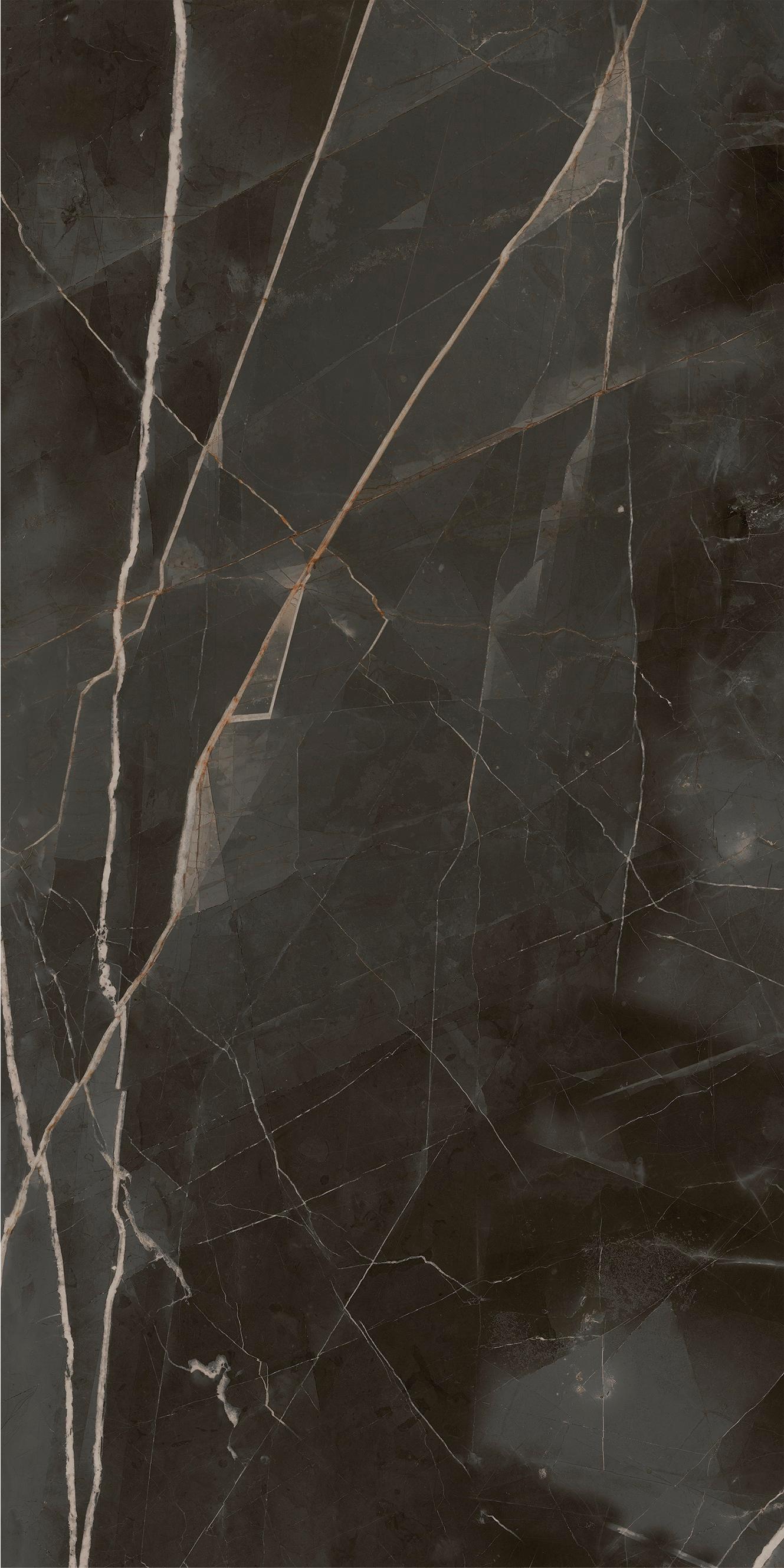 610015000689 На пол Stellaris Absolut Black Lux Ret 80x160 - фото 2