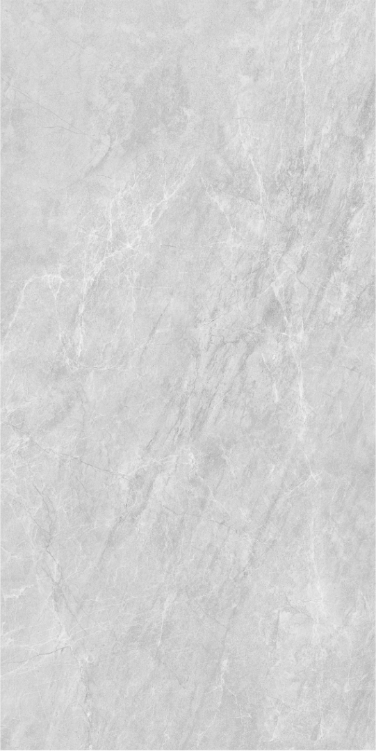 010400001373 На пол Super stone Grey PG 11 60х120 - фото 6