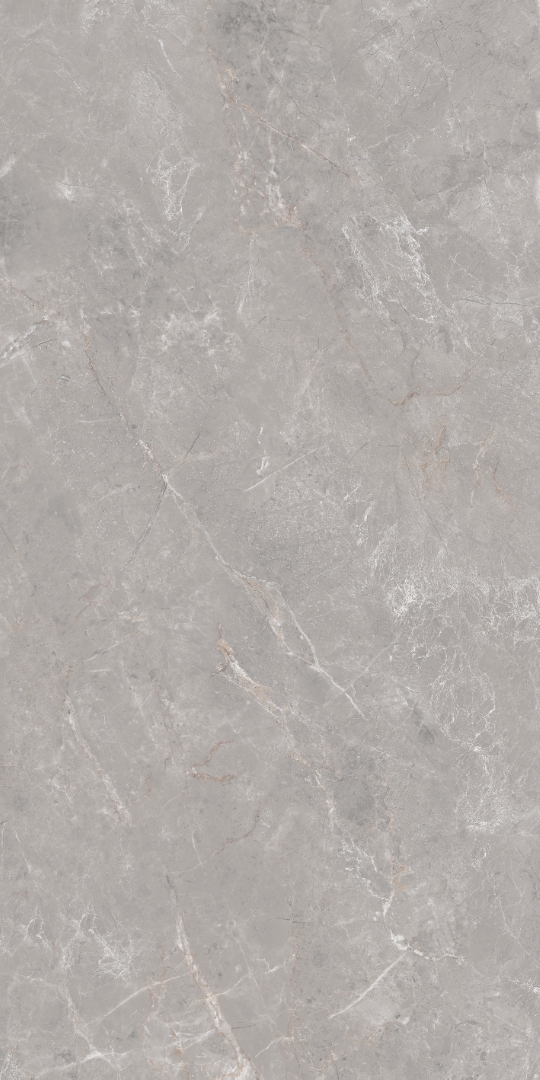 GT1206019601MDGR На пол Anatolia Серый матовый 60x120 - фото 2