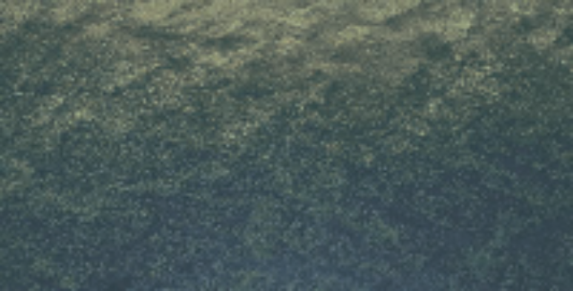 OM3366 На пол Natural Series Olcay Mix 33х66 - фото 8