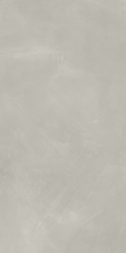 610010002679 На пол Continuum Silver 60x120 - фото 2