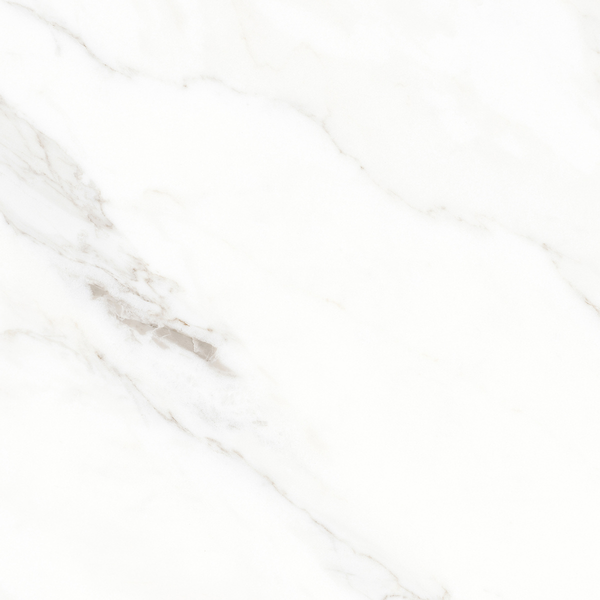 K952677LPR01LPER На пол Calacatta Michael Белый матовый 60х60