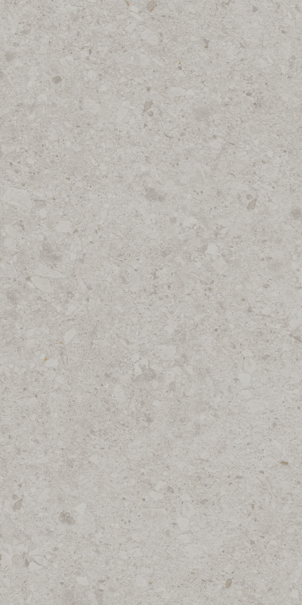 DD591220R На пол Чеппо ди Гре Серый светлый матовый обрезной 119.5x238.5x0.9