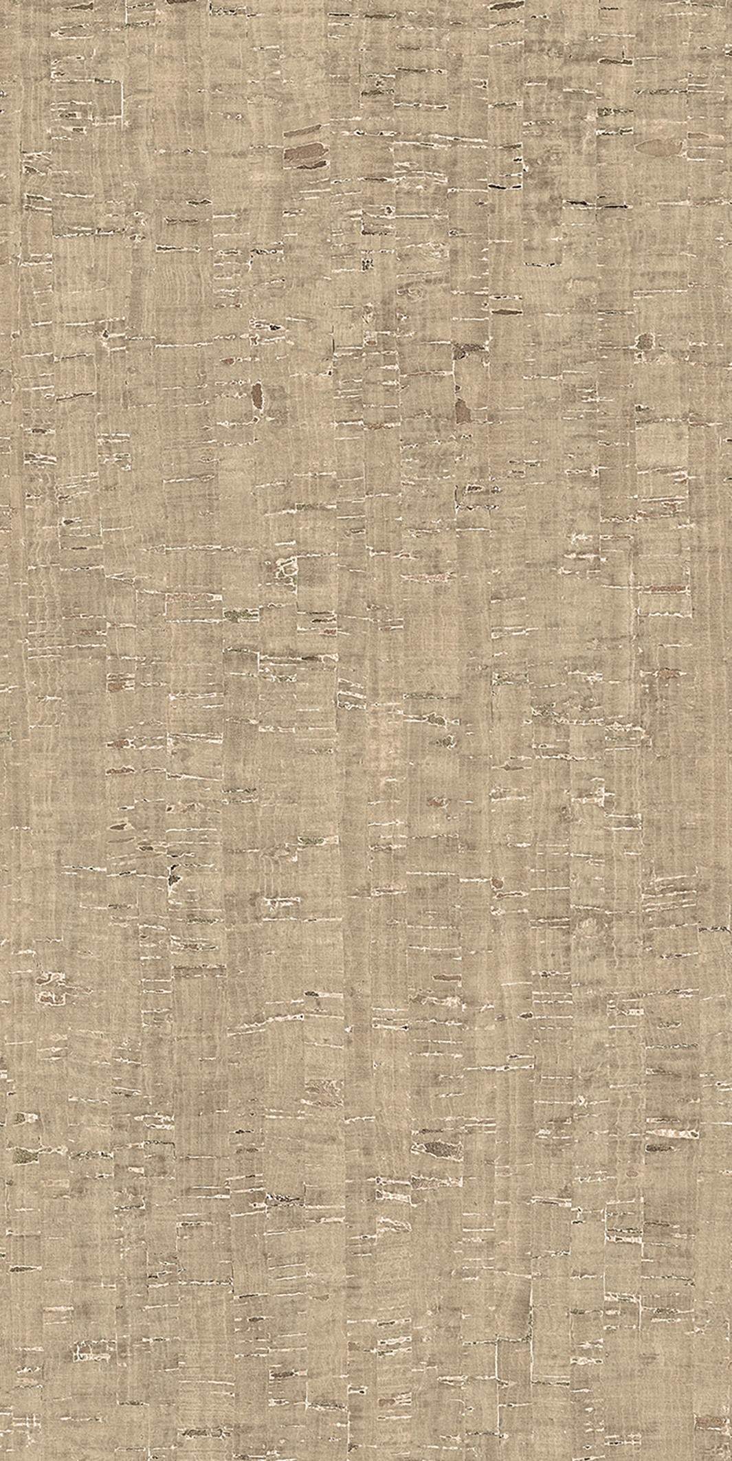 785592 На пол Rinascenza Modulo Conchiglia Matte 6mm 60x120 - фото 8