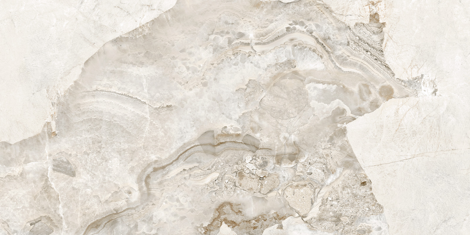 D120256LG На пол Seashell Лаппатированный граниль 600x1200x9.5 - фото 2