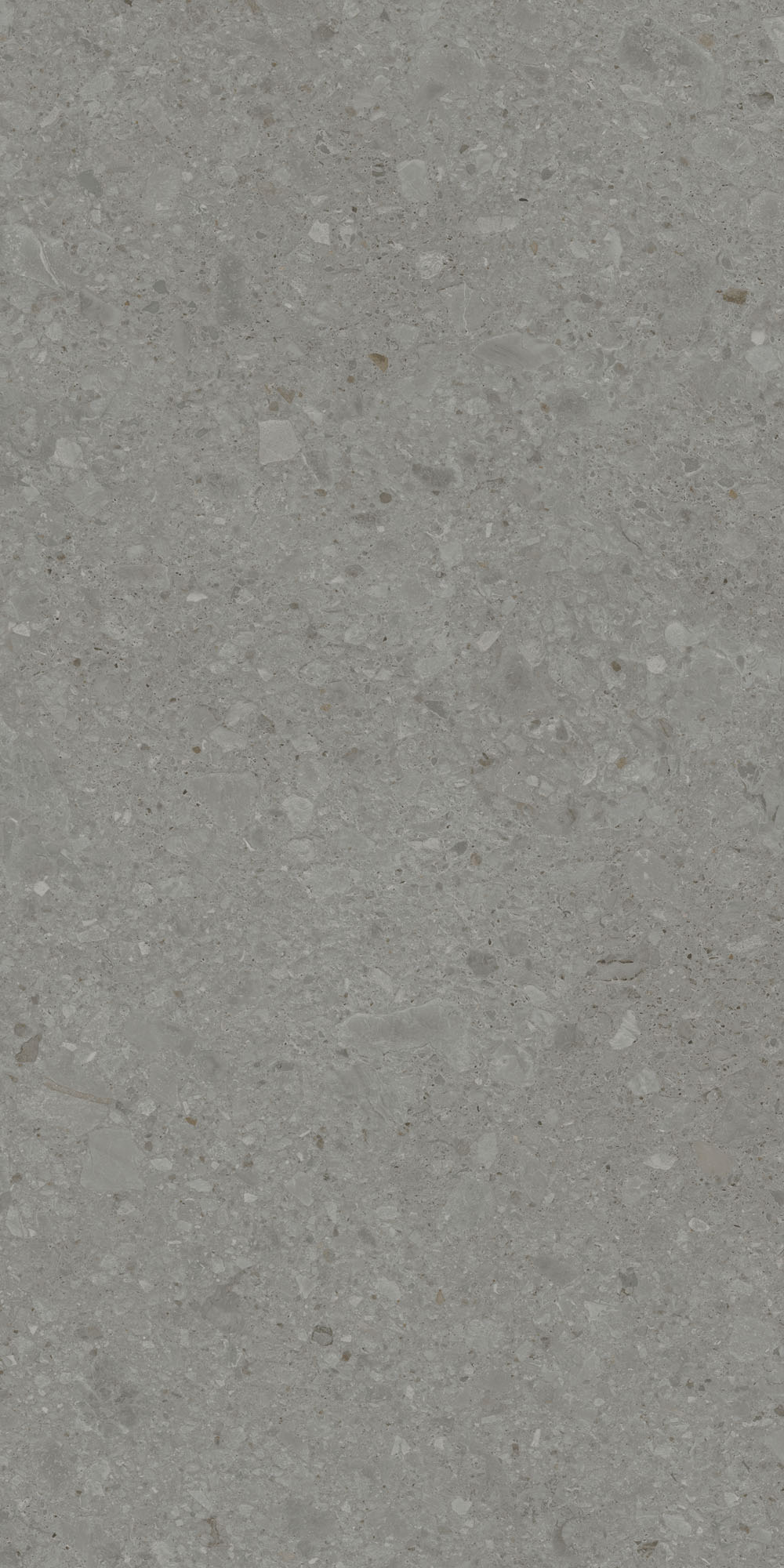 DD591500R На пол Чеппо ди Гре Серый тёмный матовый обрезной 119.5x238.5x1.1 - фото 2