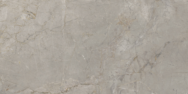 2ASK На пол Elements Lux Silver Grey Silk RT 60x120 - фото 2