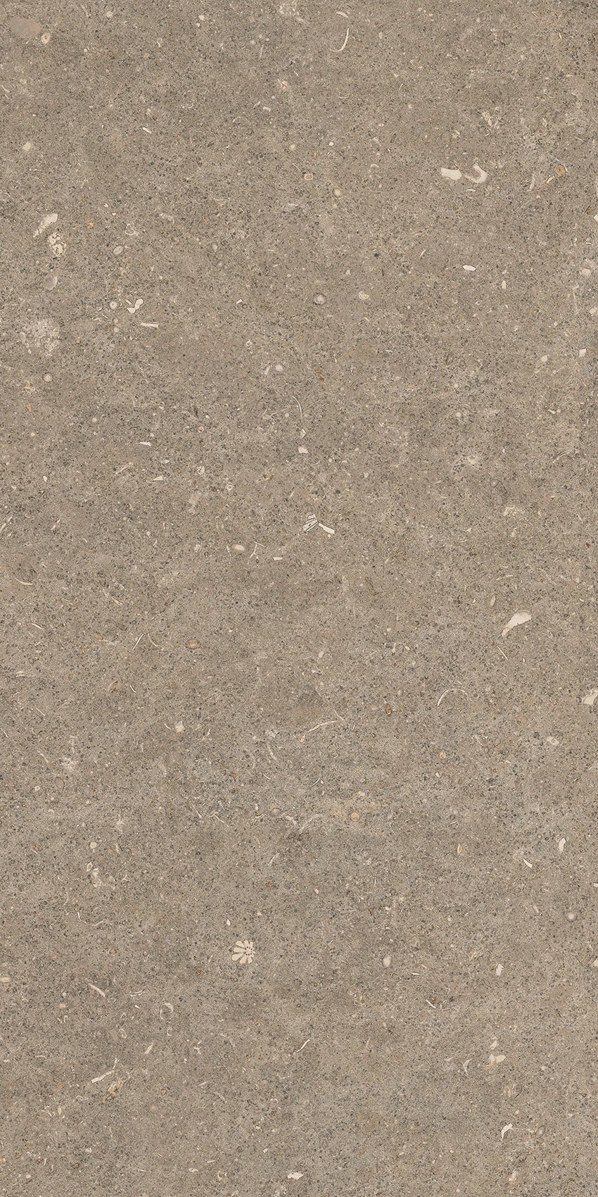 785490 На пол Rinascenza Arena Pietra Matte 30x60 - фото 6
