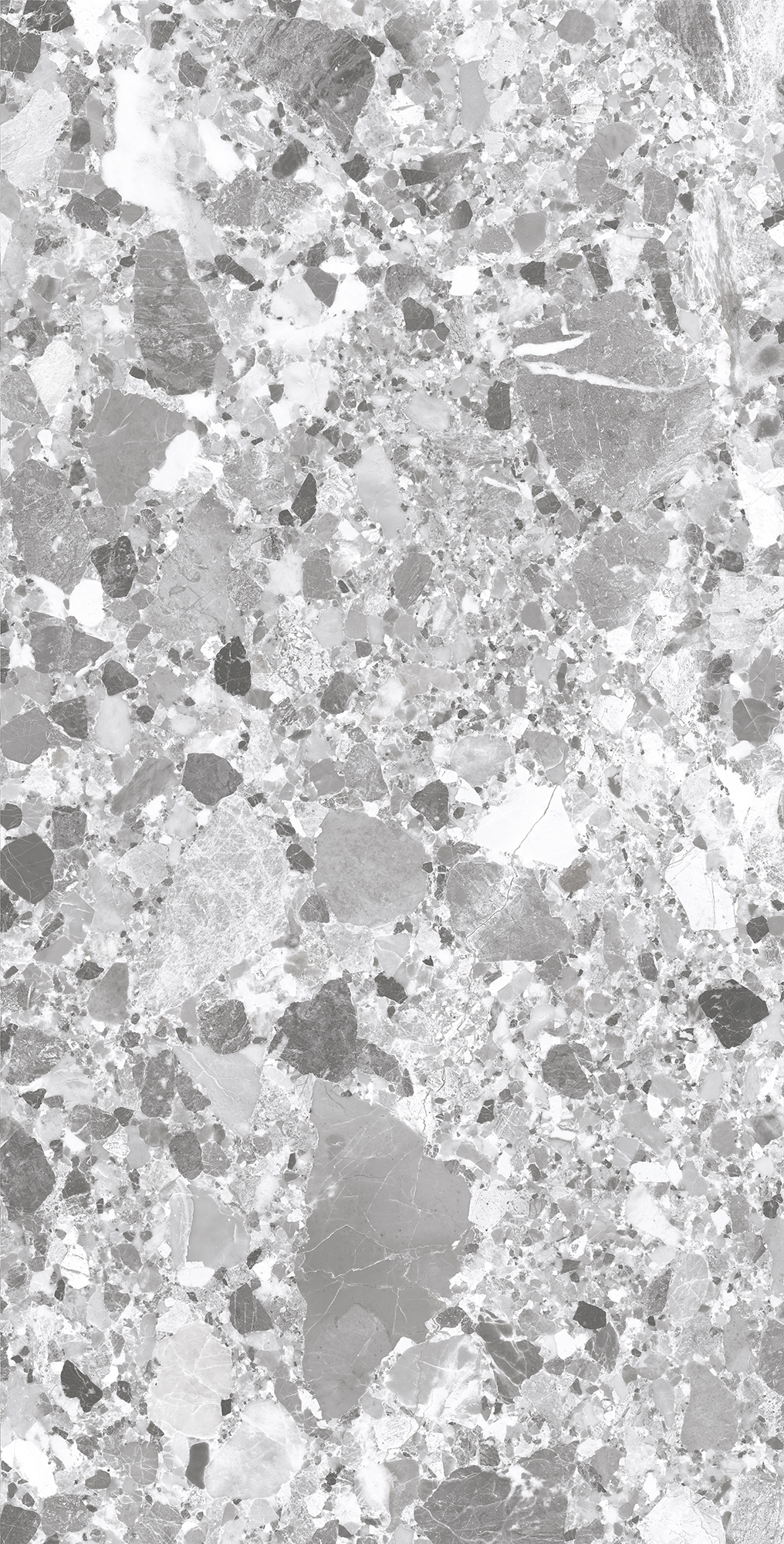 SL1004-A На пол Terragona Silver Solido 60x120