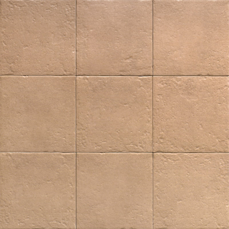 PT03858 На пол Canem Terra Season 20x20