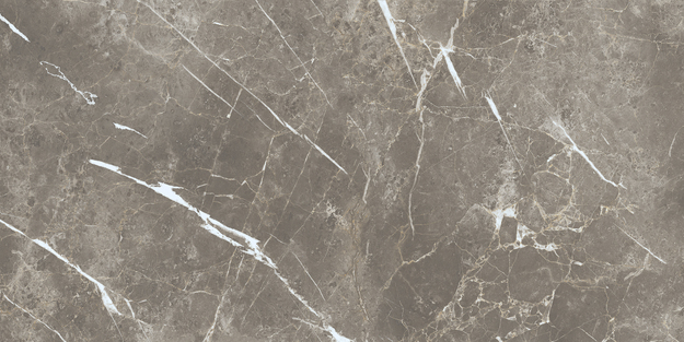 ECC2 На пол Elements Lux Persian Grey Silk RT 60x120 - фото 11