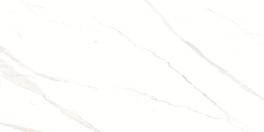 RP-238582  Pushkar White Matt 60x120 - фото 6