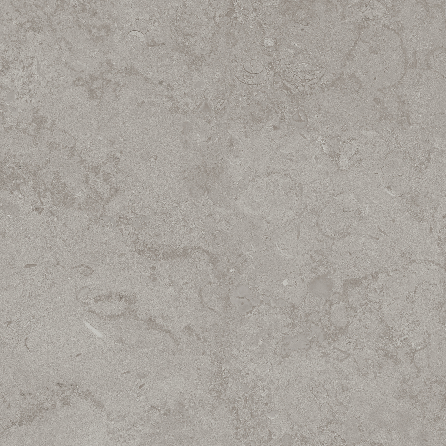 DD640900R На пол Про Лаймстоун Про Лаймстоун Серый Натуральный Обрезной 60х60 - фото 11