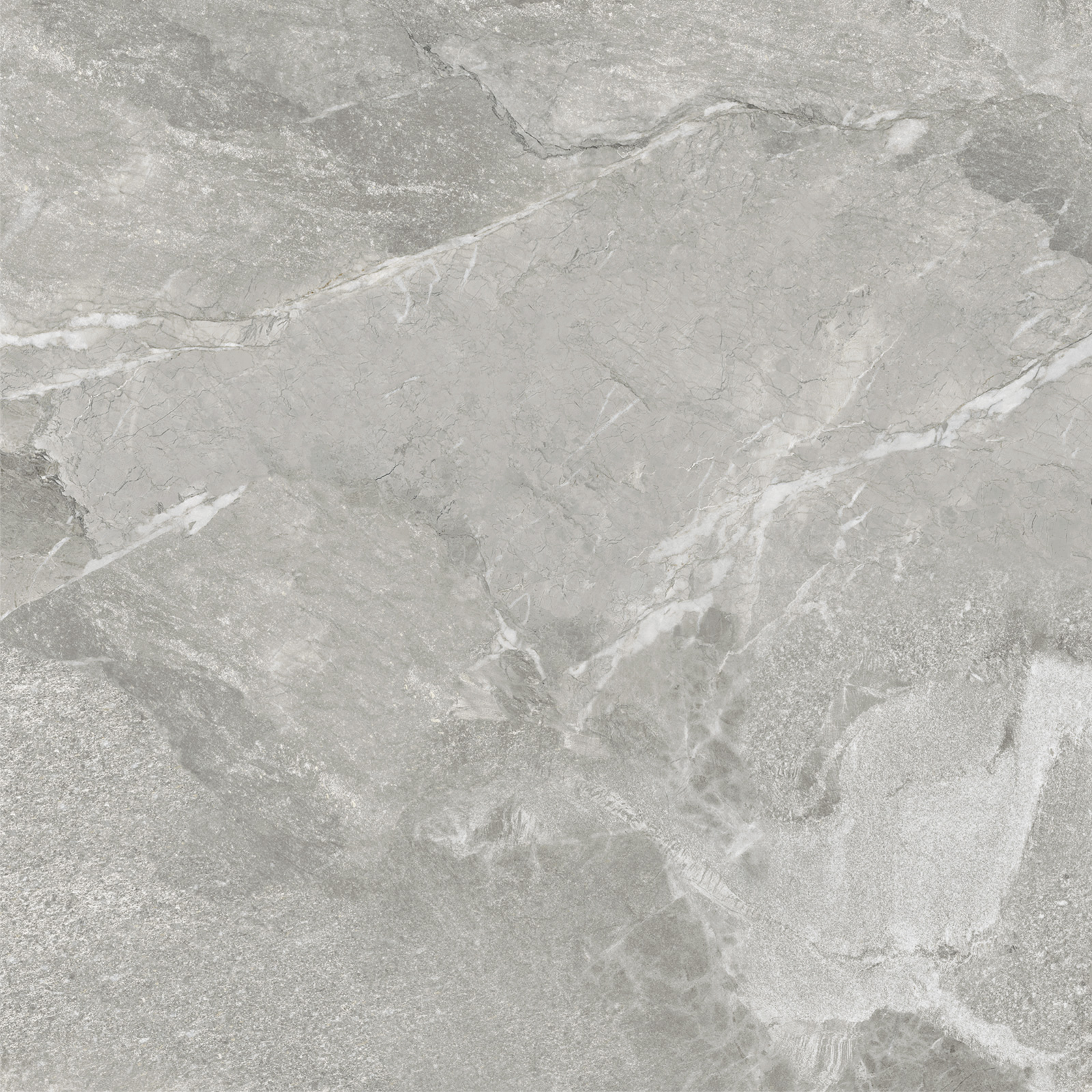 D60259M На пол Wild Light матовый 600x600x9.5 - фото 9