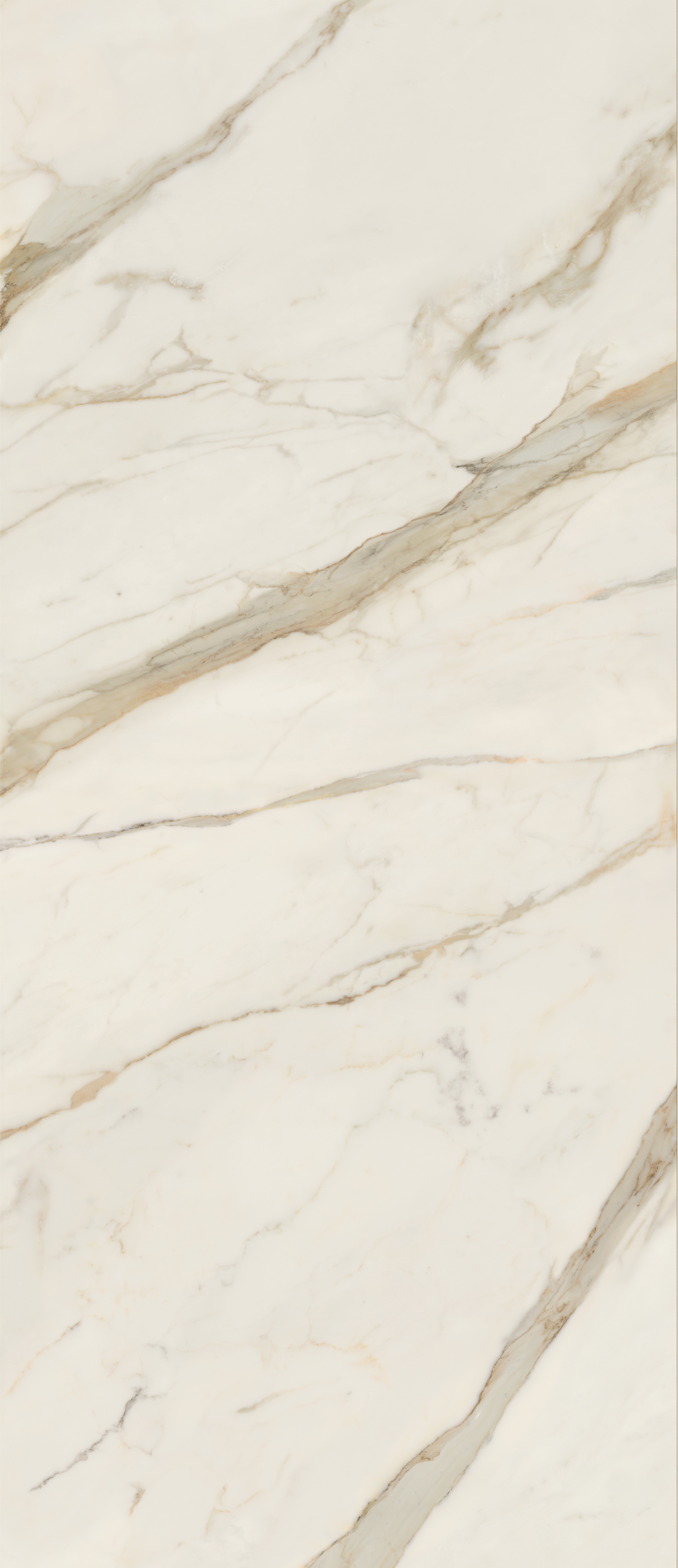 AGCJ На пол Anima Futura Golden White Luc. 278x120 - фото 2